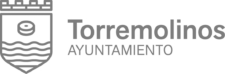 CONSEIL MUNICIPAL DE TORREMOLINOS